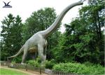 Outdoor Moving Velociraptor Life Size Model For Garden Display / Festival