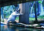 Die Casting Aluminum/Rental Indoor LED Display Screen, LED Video Display Board