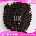 Wholesale raw unprocessed virgin indian hair curly