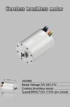 Faradyi Factory Price 12V 24V 28Mm 10000RPM Industrial Automation Robot Coreless
