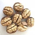 Low Price Wholesale High Quality Chinese Organic Walnut And Walnut kernel LAQ