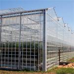High Light Transmission Venlo Glass Greenhouse Colorful Design for Garden