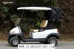High End 2 Seater Golf Cart , Electric Powered Golf Carts With Rear Cover