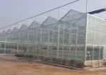 High Grade Galvanized Pipe Greenhouse Glass Covering Commercial