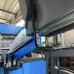 Auto 1000BPH 5L 6L 8L 10L PET Bottle 2 Cavity Blow Molding Machine