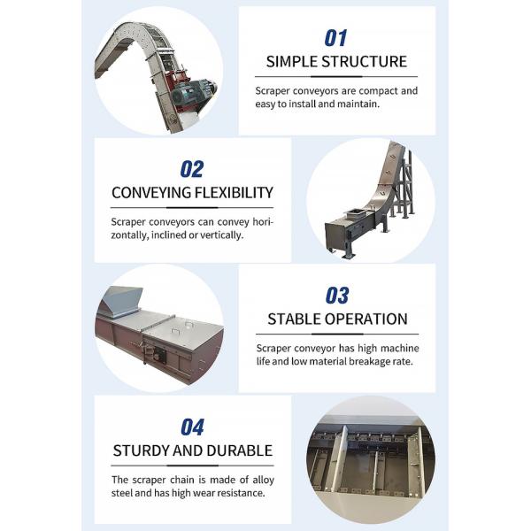 Durable and Easy Clean Adjustable Speed Chain Scraper Conveyor for Material Transmission