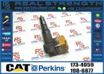 Common Rail Fuel Injector 196-1401 222-5966 173-9268 198-7912 232-1168 156-3895