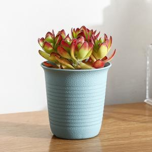 Wholesale SGS PP OD7.5 Mini Plastic Plant Flower Pots from china suppliers