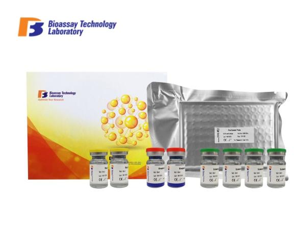 High Sensitive Canine ELISA Kits Immunosorbent Assay Kit For Accurate Quantitati