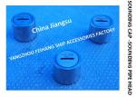 Marine Oil Tank Stainless Steel 316L Sounding Injection Head C40, Oil Tank