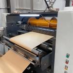 100% Wooden Virgin High Quality PE Coated Paper Sheets For Food Container