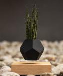 Creative Design Levitation Bonsai ,floating plant pot ,magnetic levitation