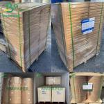 Blotter Paper White Blotting Paper 0.4mm 0.5mm 0.6mm 430 X 610mm 500 Sheets Ream