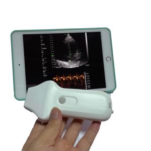 Wholesale Portable Hand Held Used Cheap Phased Array Ultrasound Machine Probe from china suppliers