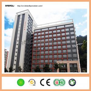 Wholesale 240*60mm Clay eco-friendly exterior wall cladding tiles for houses school construction college from china suppliers