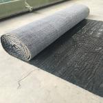 Bentoshield Bentonite Geotextile Clay Liner for Modern Design Waterproofing