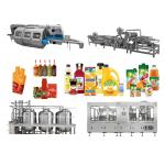 Turnkey Project Berry Juice And Jam Processing Line Including Equipment