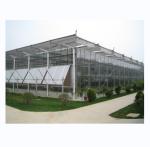 Maximize Harvest Super Strong Resistance Multi Span Agricultural Greenhouses