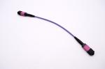 MTP MPO cable , MTP MPO Patch Cable 12 fiber OM3 OM4 50/125um Plenum Rated 40G
