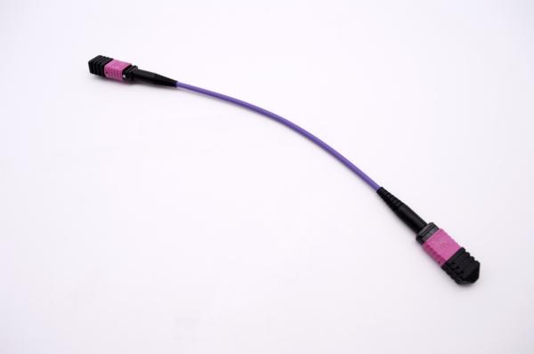 MTP MPO cable , MTP MPO Patch Cable 12 fiber OM3 OM4 50/125um Plenum Rated 40G