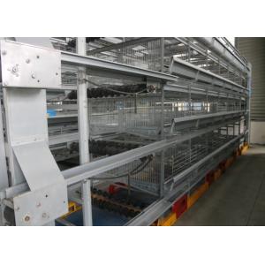 Wholesale Professional Layer Poultry Farming Equipment Easy Use Environment Friendly from china suppliers