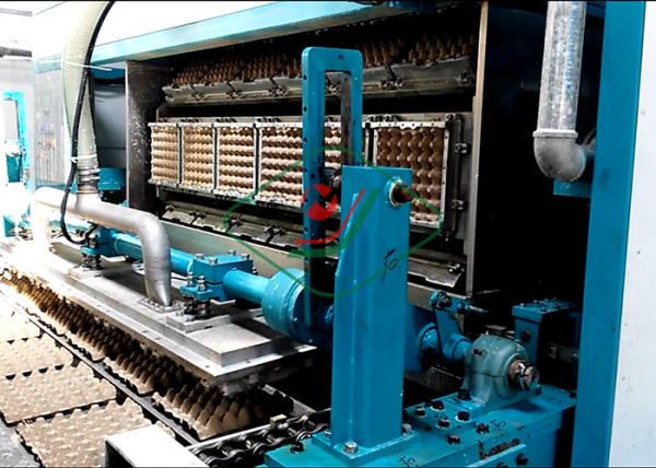 Automatic Waste Paper Pulp Molded Egg Tray Machine Egg Clamshell Molding