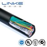 UL2464 22AWG *110c Multicore Cable for Electronic Equipment in PVC Sheath
