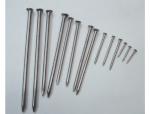 Common Round Nail