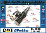 Fuel Injector 204-2067 229-1631 437-7547 245-8272 8E-8836 250-1302 250-1304 250
