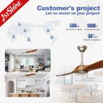6 Speeds Low Noise DC Motor Ceiling Fan With 2 Solid Wood Blades