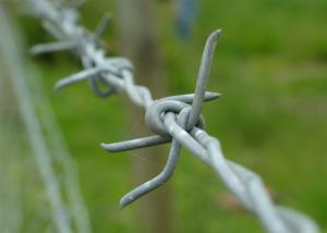 Wholesale Galvanized ety Farm Single Twist Barbed Wire 14 Gauge Protective High Tensile from china suppliers