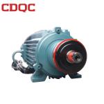 Electric 3 Phase Ac Induction Motor 8kw-60kw High Reliability Design
