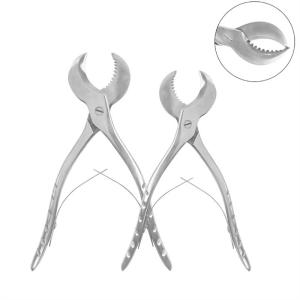 Wholesale Stainless Steel Dental Forceps Gypsum Plaster Scissors Dental Pliers With Serrated Blade from china suppliers