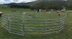 Wholesale 22Panel Cattle Corral Panels Inc Gate, Round Yard, Cattle Fences 15m Diameter from china suppliers
