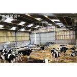 Q235B/Q345B Low Carbon Steel Structure Prefabricated Pig House