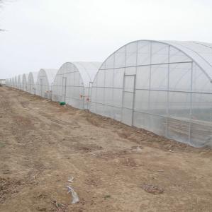 Wholesale 9x30m Plastic Tunnel Greenhouse Covered Plastic Film For Vegetable Growing from china suppliers