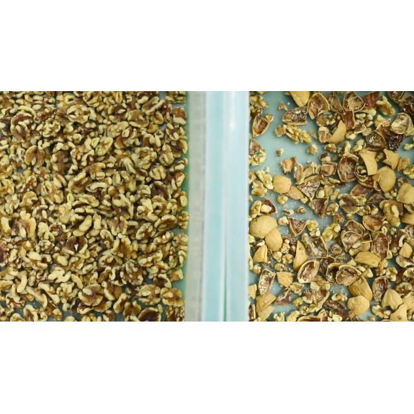 Smart CCD Optical Nuts Beans Color Sorting Machine For Food Plant