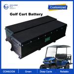 OEM ODM LiFePO4 lithium battery pack golf cart battery 48V golf cart lithium