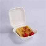Disposable Biodegradable Take Away Food Container 6 Inch Sugarcane Bagasse Lunch