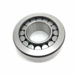 Stainless Steel Cylindrical Roller Bearing 05NU0618-1VHSH6C3 25x57x18 mm 1 YEAR