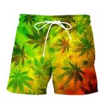 Anti UV Polyester Board Shorts Custom Picture Swim Trunks Sustainable