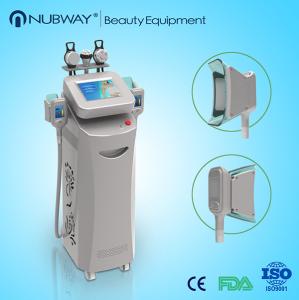 Wholesale Best cryolipolysis machine ,cryolipolysis slimming machine (Hot sale ) from china suppliers