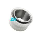 Cylindrical Roller Bearings F-209774.06 F-209774