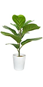Artificial Fiddle Leaf Fig Tree