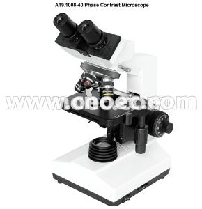 Wholesale 40X - 1000X Binocular Phase Contrast Microscopy for Laboratory , A19.1008-40 from china suppliers