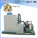 CBFI BF1000 - BF60000 Commercial Ice Block Making Machine For Cooling Vegetable