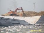 0.1-3.0 Thickness HDPE Geocomposite Waterproof Membrane with Nonwoven Geotextile
