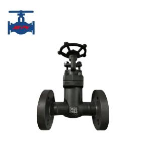 Wholesale API 602 Standard Class 150 SS304 Bellow Seal A105 Forged Gate Valve from china suppliers