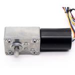 Micro Brushless DC Right Angle Motor A58-3650 Worm Gear Motor DC 24V 24v Dc Worm