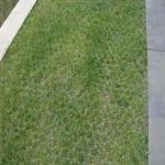 PP Grass Paver Grid 38mm 48mm 68mm Height for Parking Lot Driveway HDPE